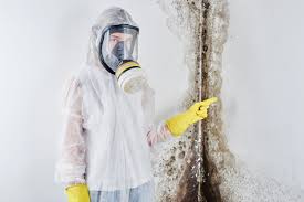 Dacula, GA Mold Removal Company